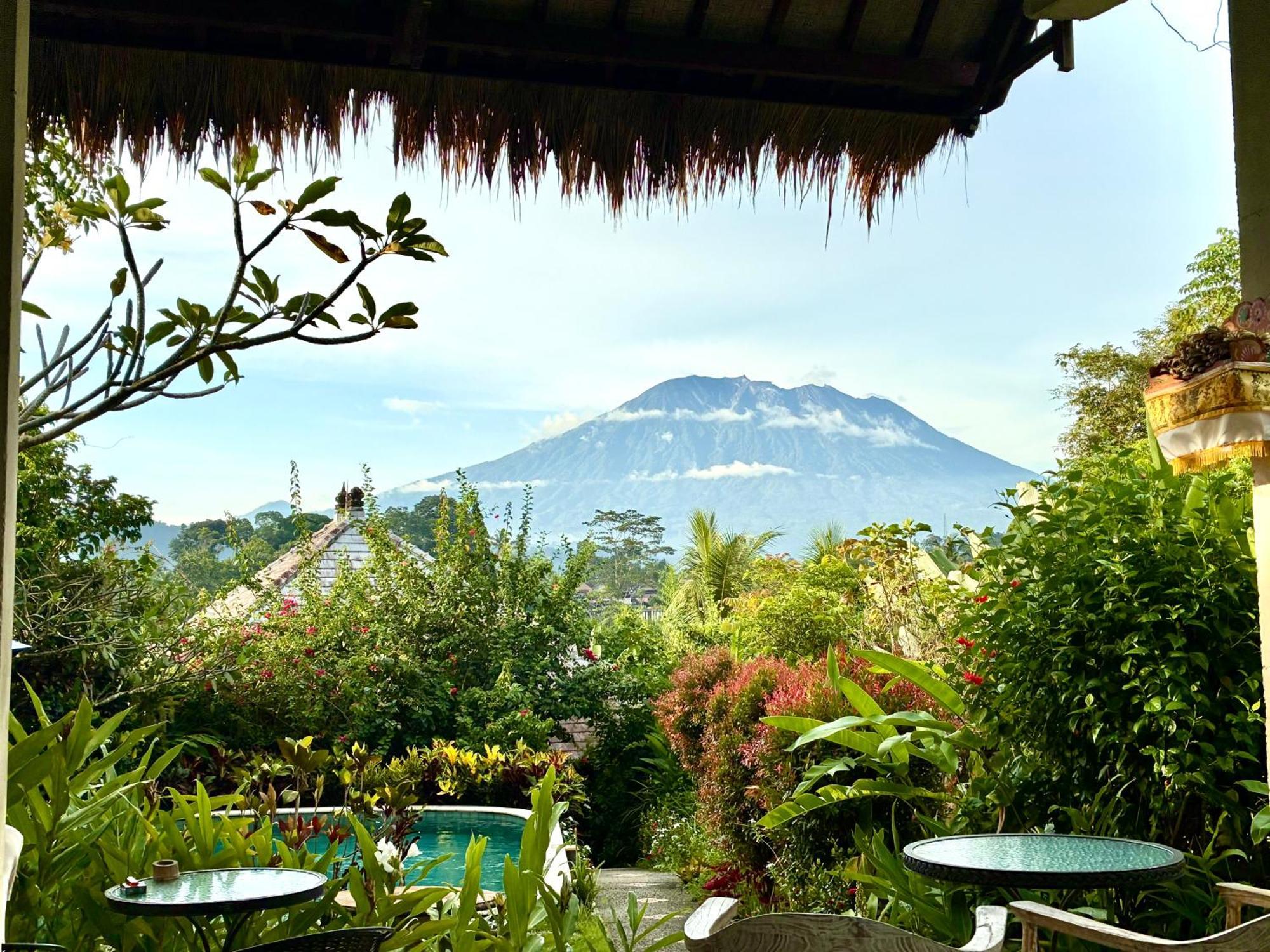 King Room Mountain View